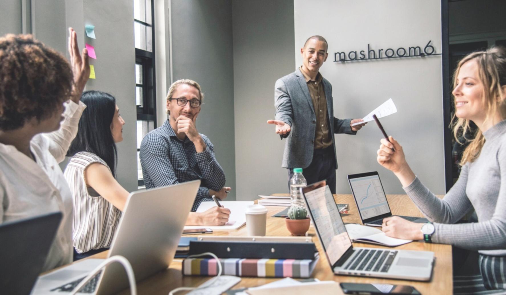 Professional business consultation meeting
